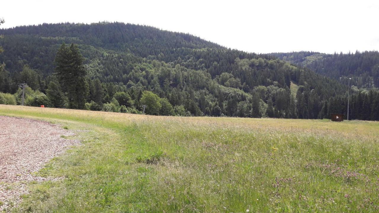 Ferienwohnung Bergwiese Schwarzenbach am Wald Exterior photo