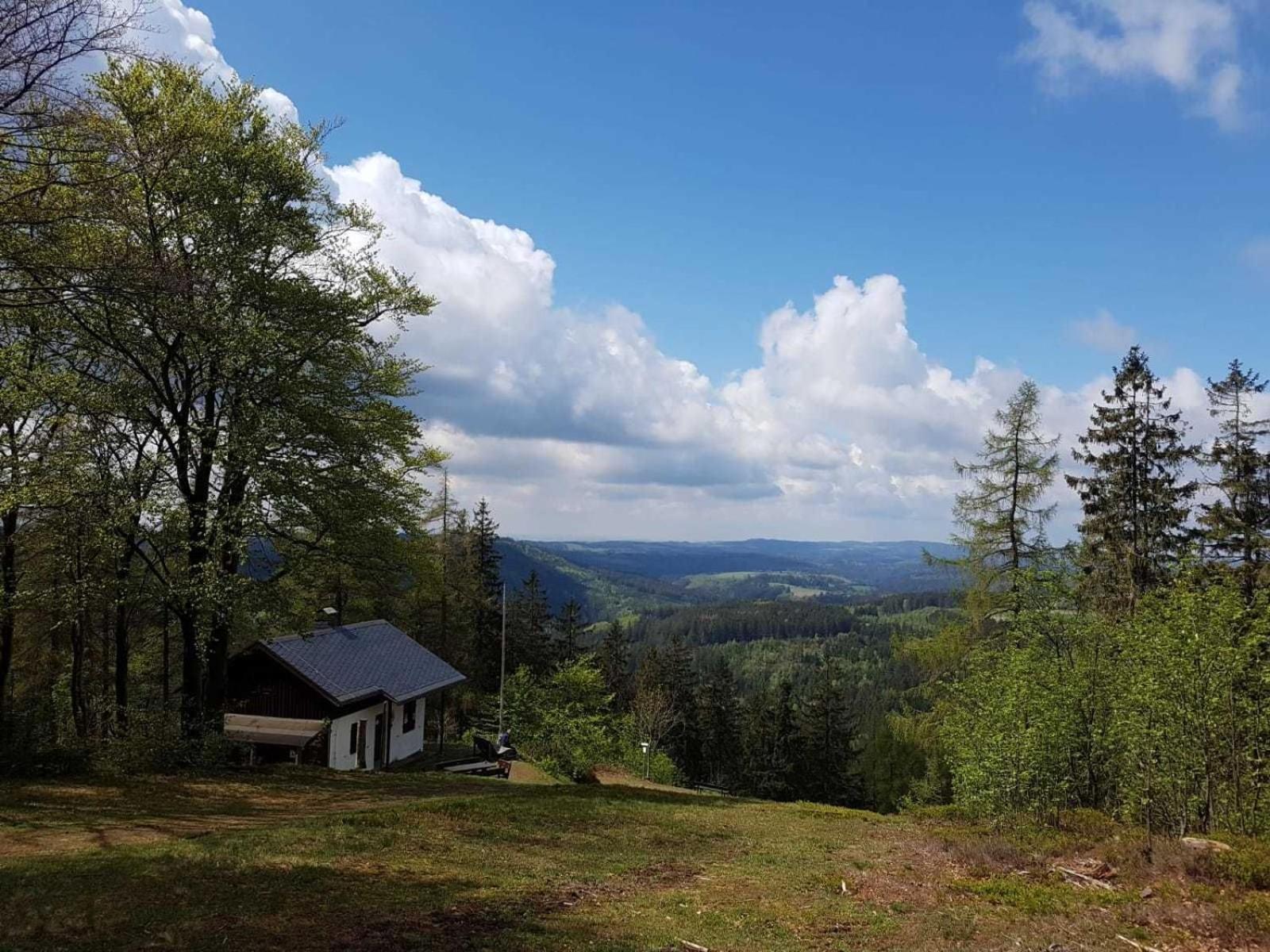 Ferienwohnung Bergwiese Schwarzenbach am Wald Exterior photo