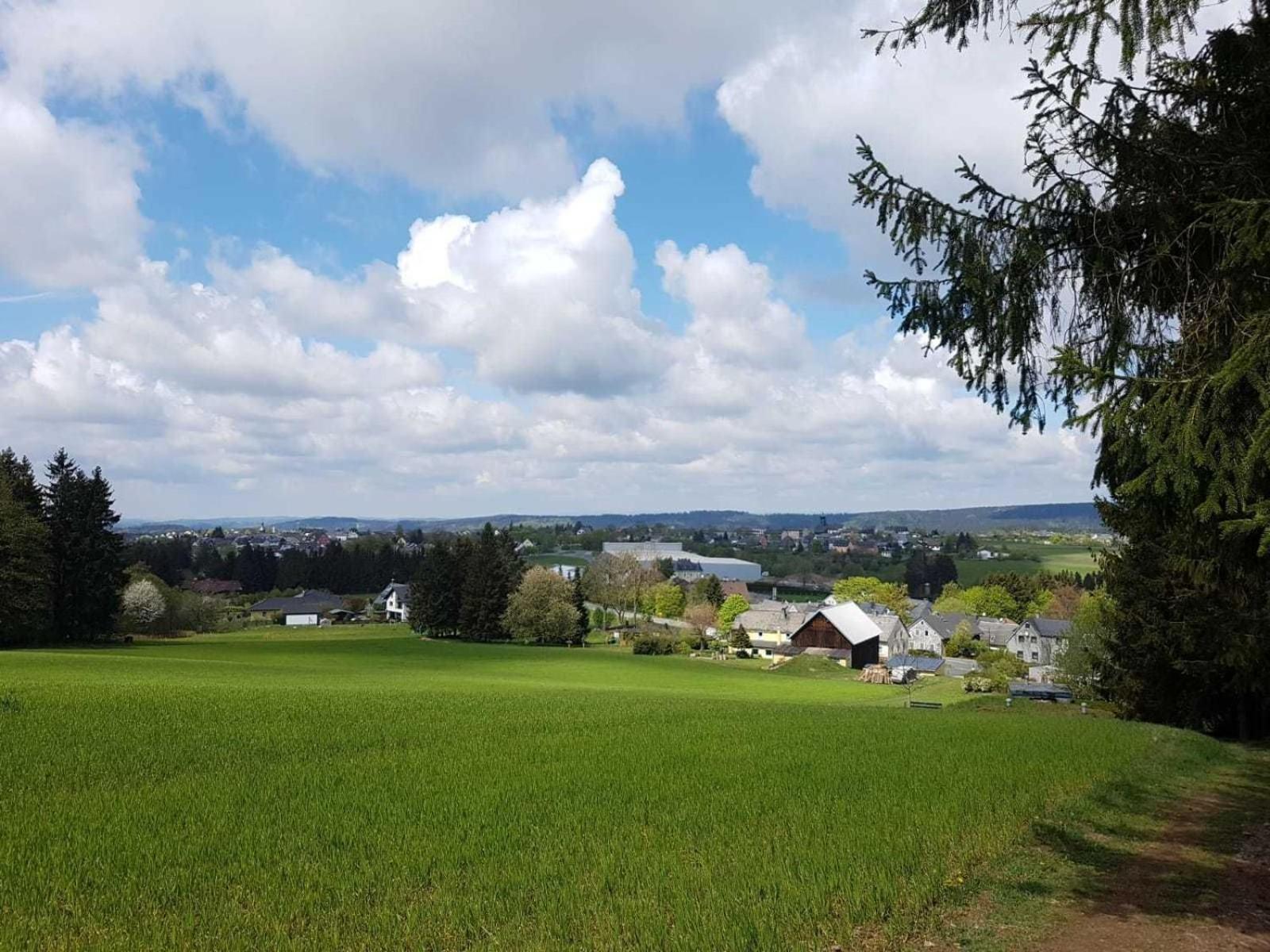 Ferienwohnung Bergwiese Schwarzenbach am Wald Exterior photo